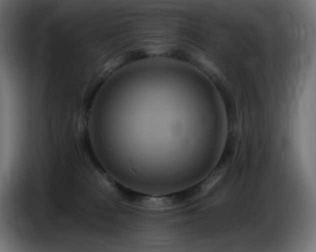 X0000086750277200704131157