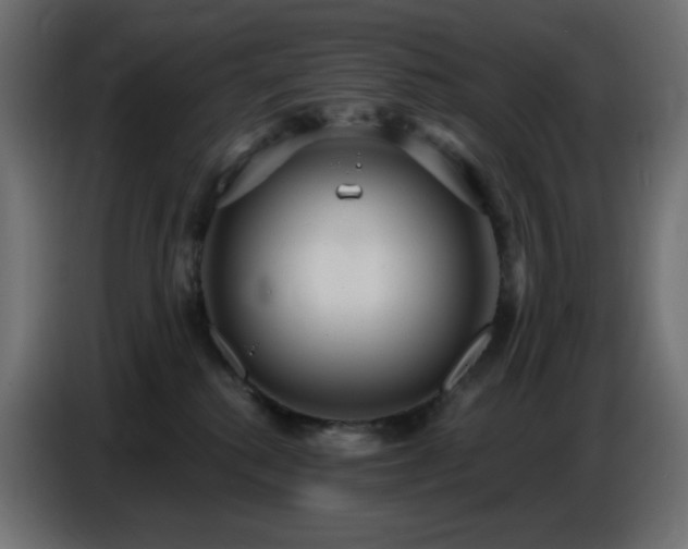 X0000086750280200704131158