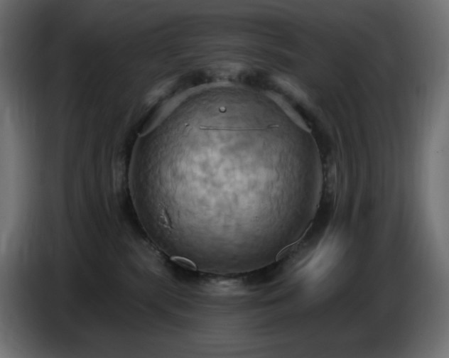 X0000086750283200704131158