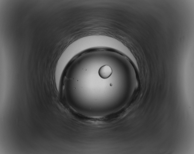 X0000086750284200704131158