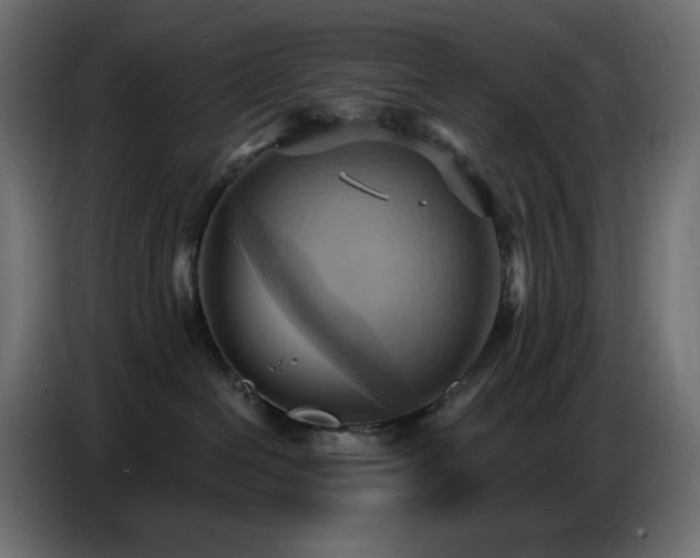 X0000086750286200704131158