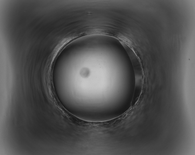 X0000086750289200704131157