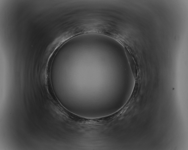 X0000086750290200704131157