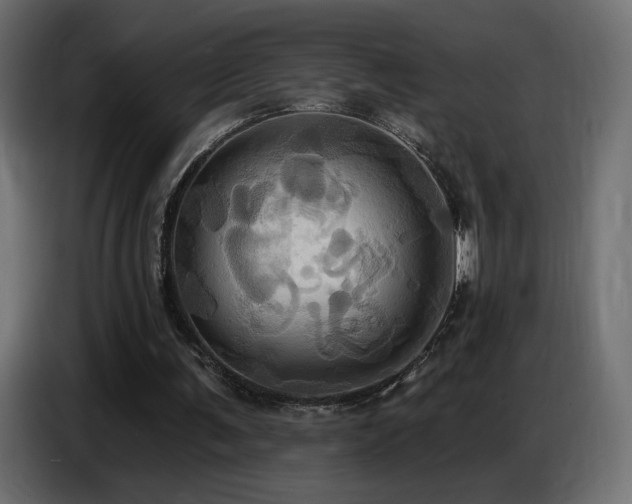 X0000086750291200704131157