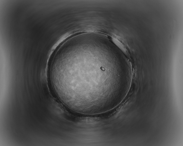 X0000086750292200704131157