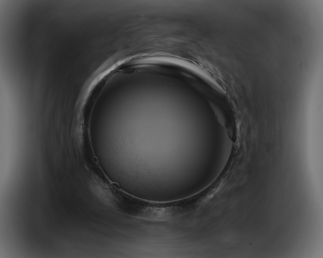 X0000086750295200704131157