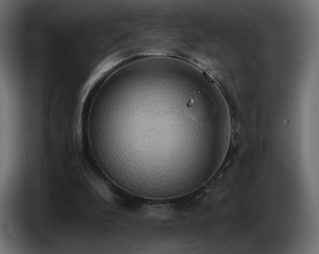 X0000086750296200704131157