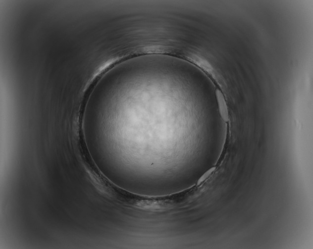 X0000086750297200704131157