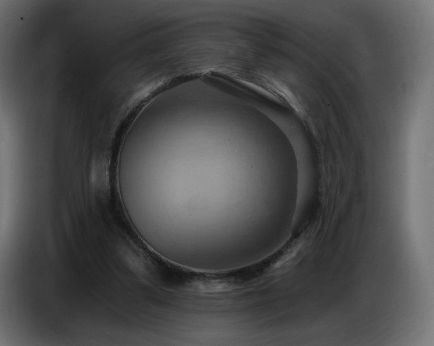 X0000086750299200704131157