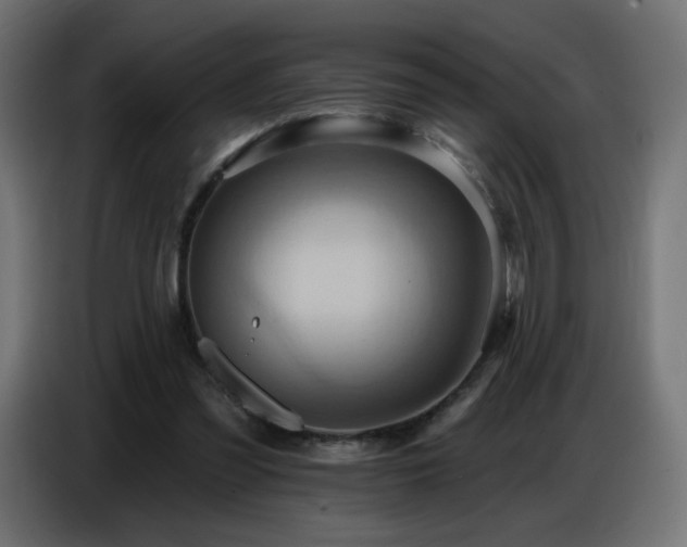 X0000086750301200704131157