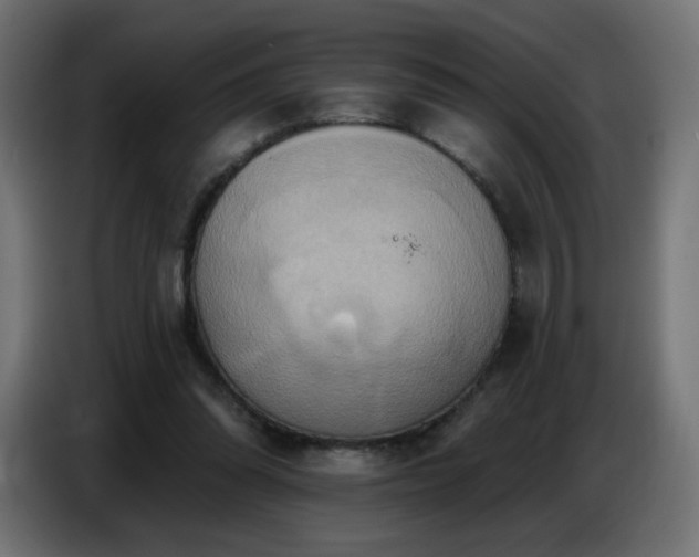 X0000086750302200704131157