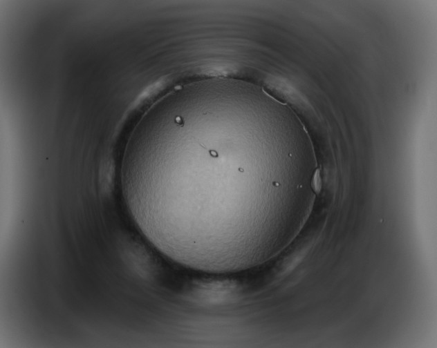 X0000086750304200704131157