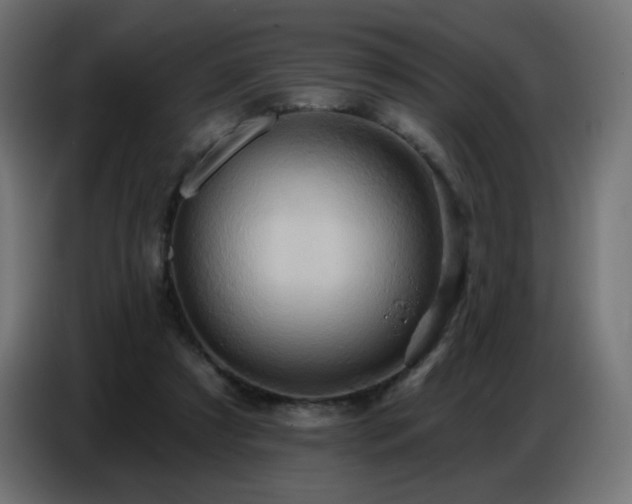 X0000086750305200704131157
