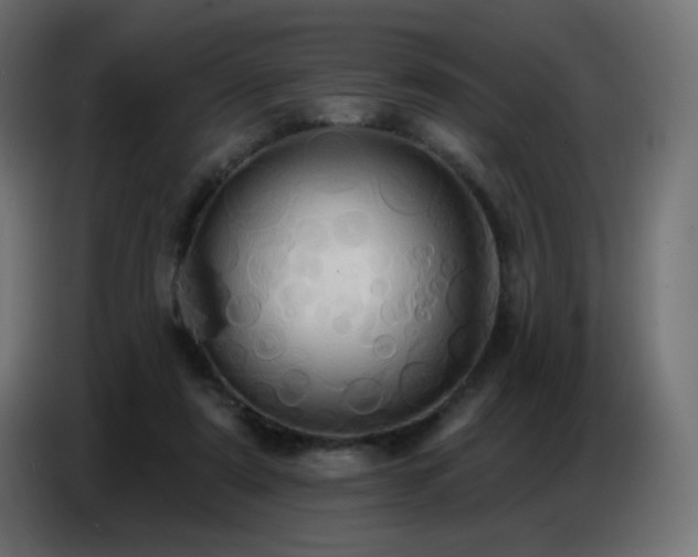 X0000086750307200704131157
