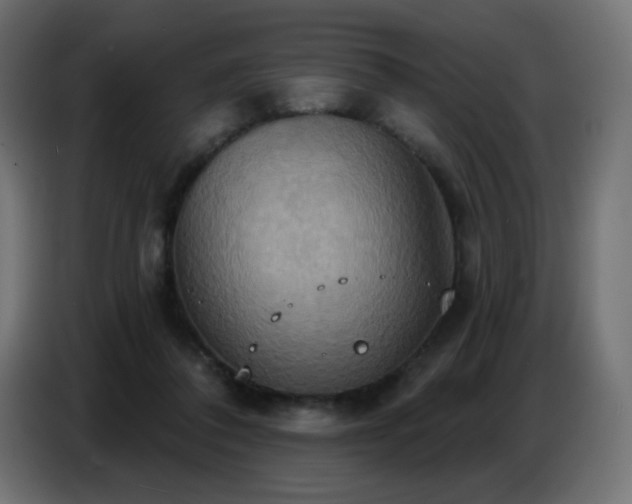 X0000086750308200704131157