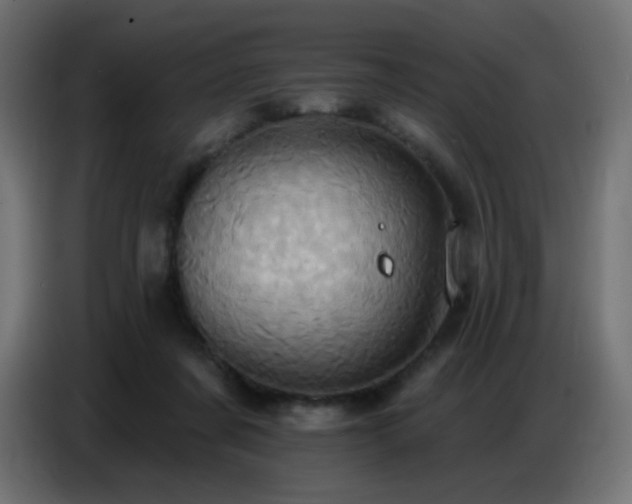 X0000086750311200704131157