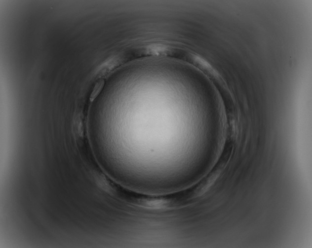 X0000086750313200704131157