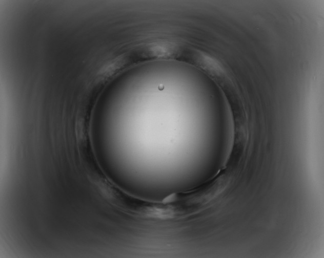 X0000086750317200704131157