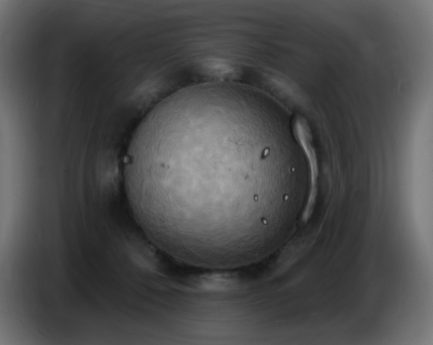 X0000086750320200704131157