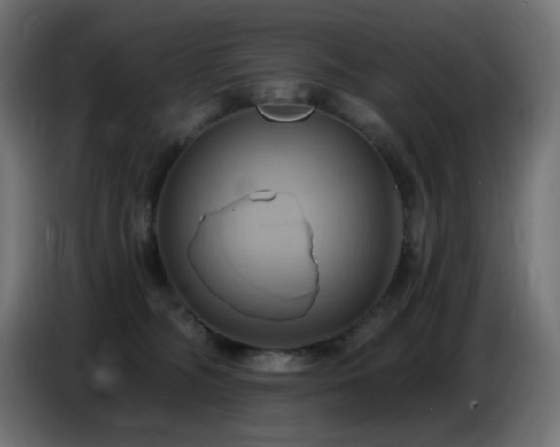 X0000086750326200704131156