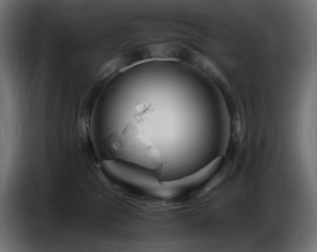 X0000086750329200704131156