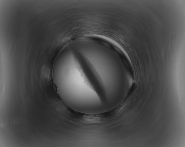 X0000086750331200704131156