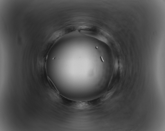 X0000086750333200704131156