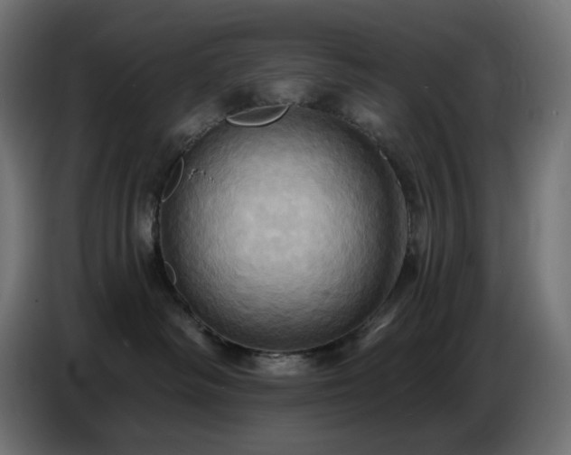 X0000086750334200704131156