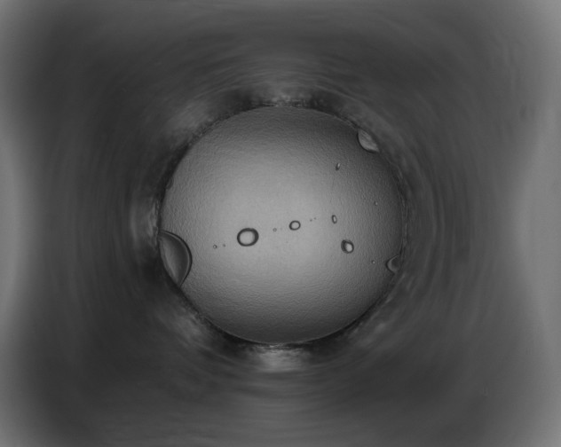 X0000086750336200704131156