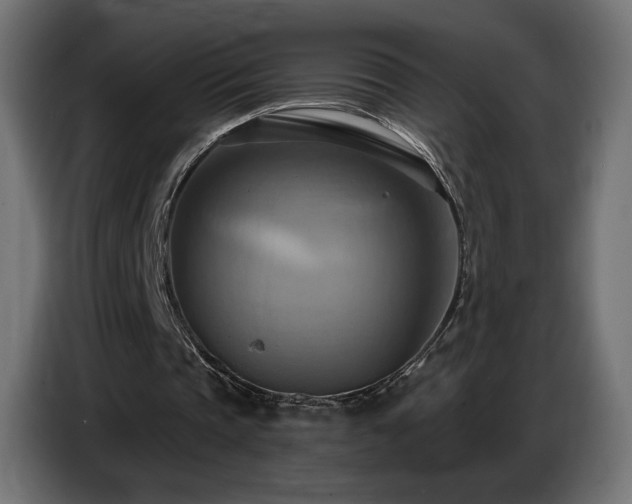 X0000086750337200704131156