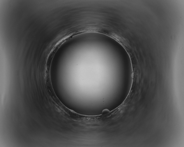 X0000086750338200704131156