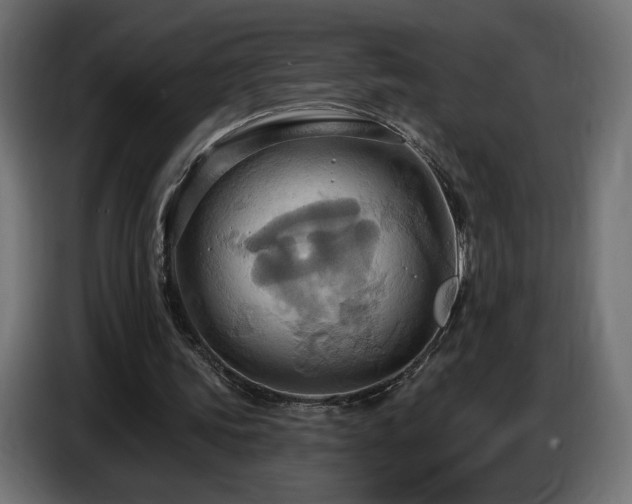 X0000086750339200704131156