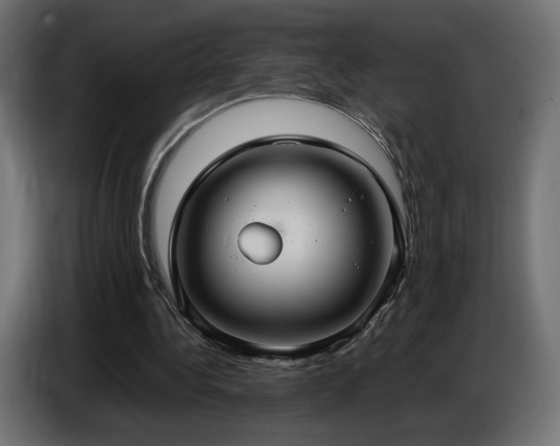 X0000086750340200704131156
