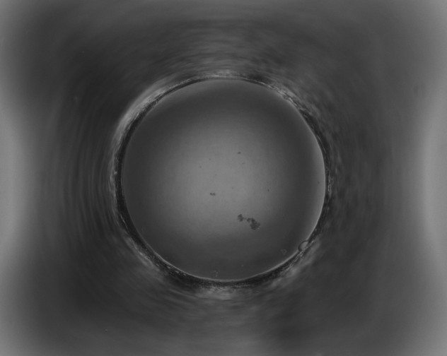 X0000086750341200704131156
