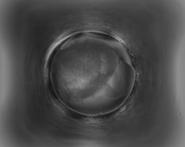 X0000086750343200704131156