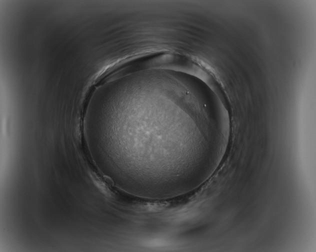 X0000086750345200704131156