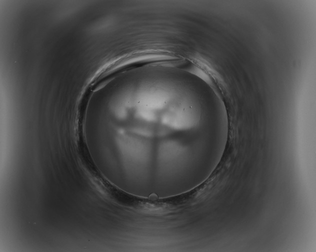 X0000086750346200704131156
