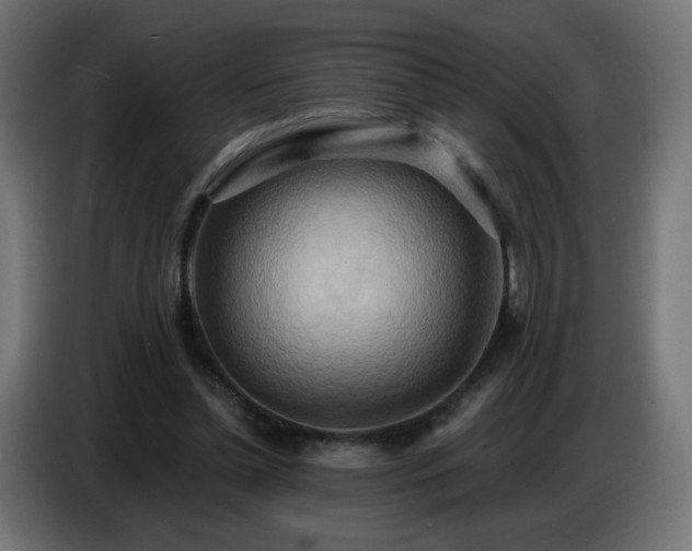 X0000086750348200704131156