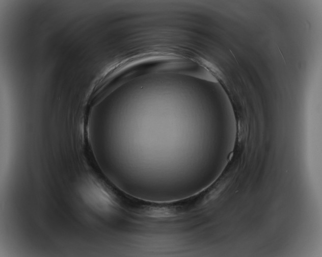 X0000086750349200704131156