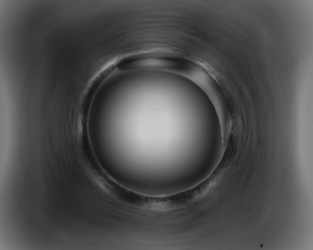 X0000086750350200704131156
