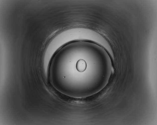 X0000086750352200704131156