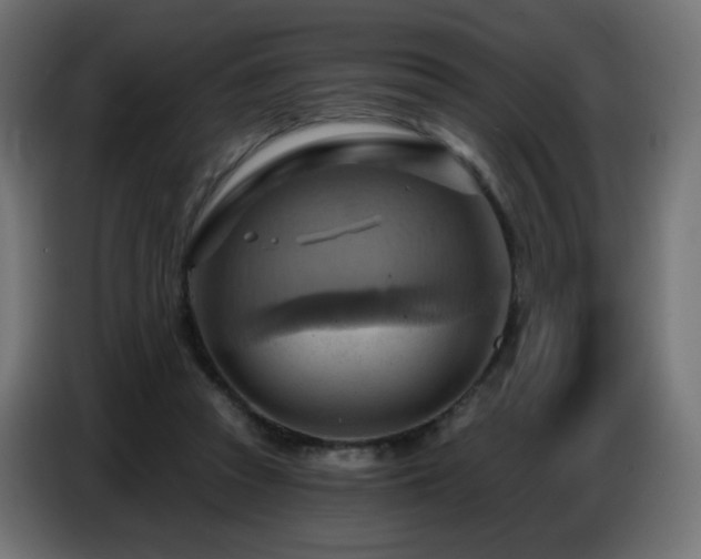 X0000086750353200704131156