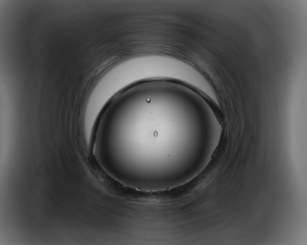 X0000086750356200704131156