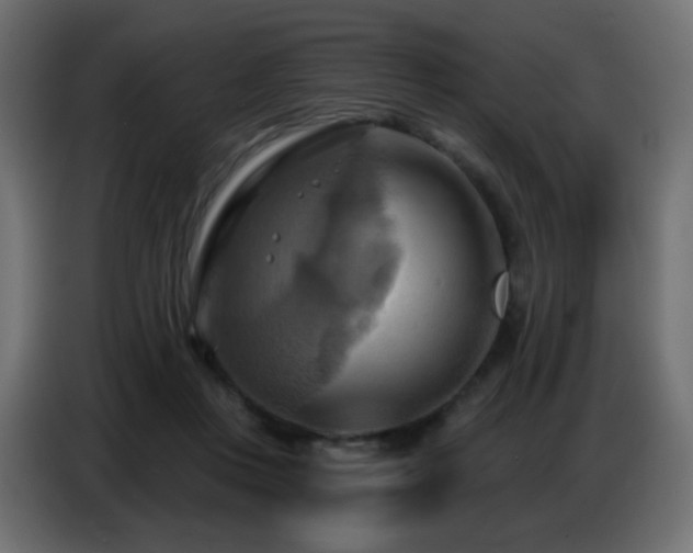 X0000086750359200704131156