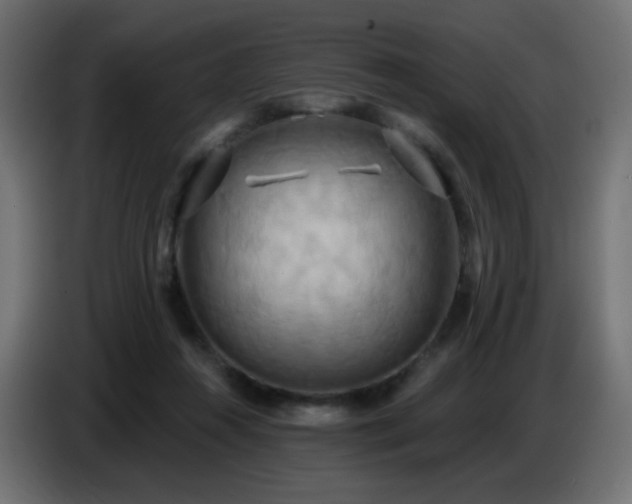 X0000086750360200704131156