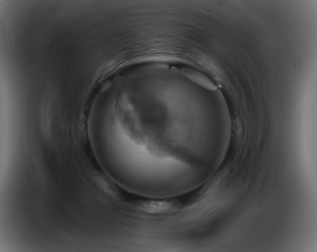 X0000086750361200704131156