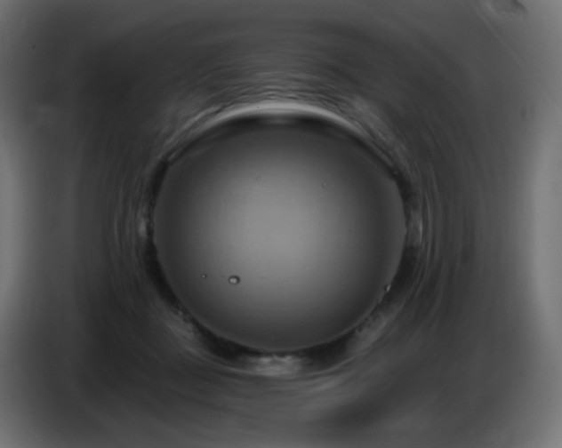 X0000086750363200704131156
