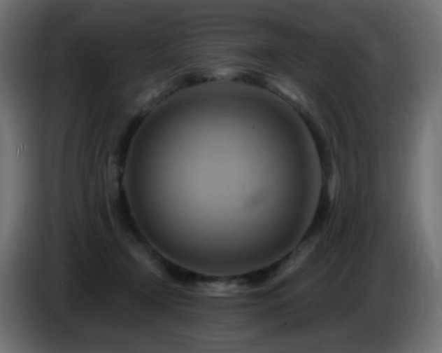X0000086750366200704131156