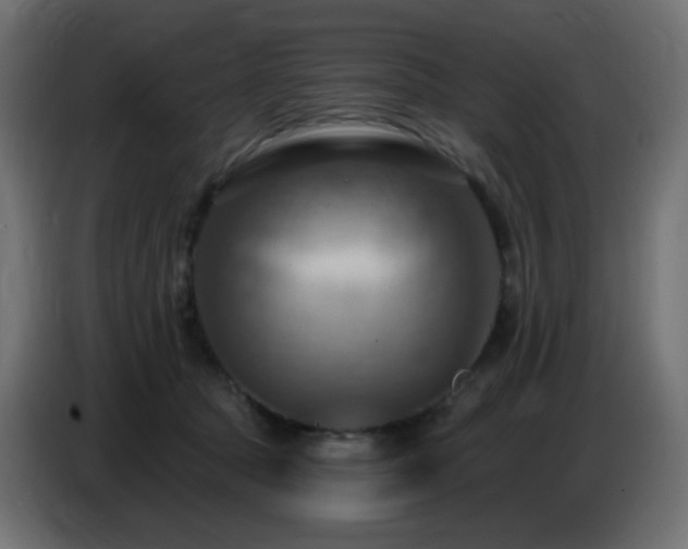 X0000086750369200704131156