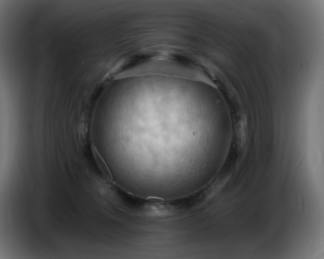 X0000086750372200704131156